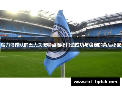 魔力鸟球队的五大关键特点揭秘打造成功与稳定的背后秘密