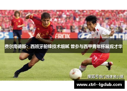 费尔南德斯：西班牙前锋技术细腻 曾参与西甲青年杯展现才华