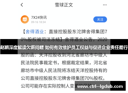赵鹏深度解读欠薪问题 如何有效维护员工权益与促进企业责任履行 赵鹏深度解读欠薪问题 如何有效维护员工权益与促进企业责任履行