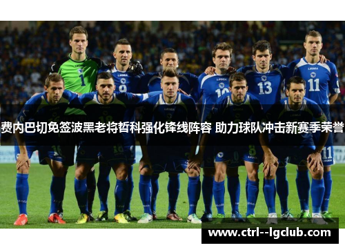 费内巴切免签波黑老将哲科强化锋线阵容 助力球队冲击新赛季荣誉 费内巴切免签波黑老将哲科强化锋线阵容 助力球队冲击新赛季荣誉