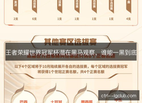 王者荣耀世界冠军杯潜在黑马观察，谁能一黑到底